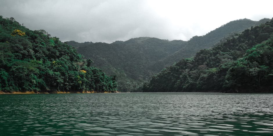 Is Weetabix Low Carb? Understanding the Nutritional Profile Is Weetabix Low Carb? Understanding the Nutritional Profile